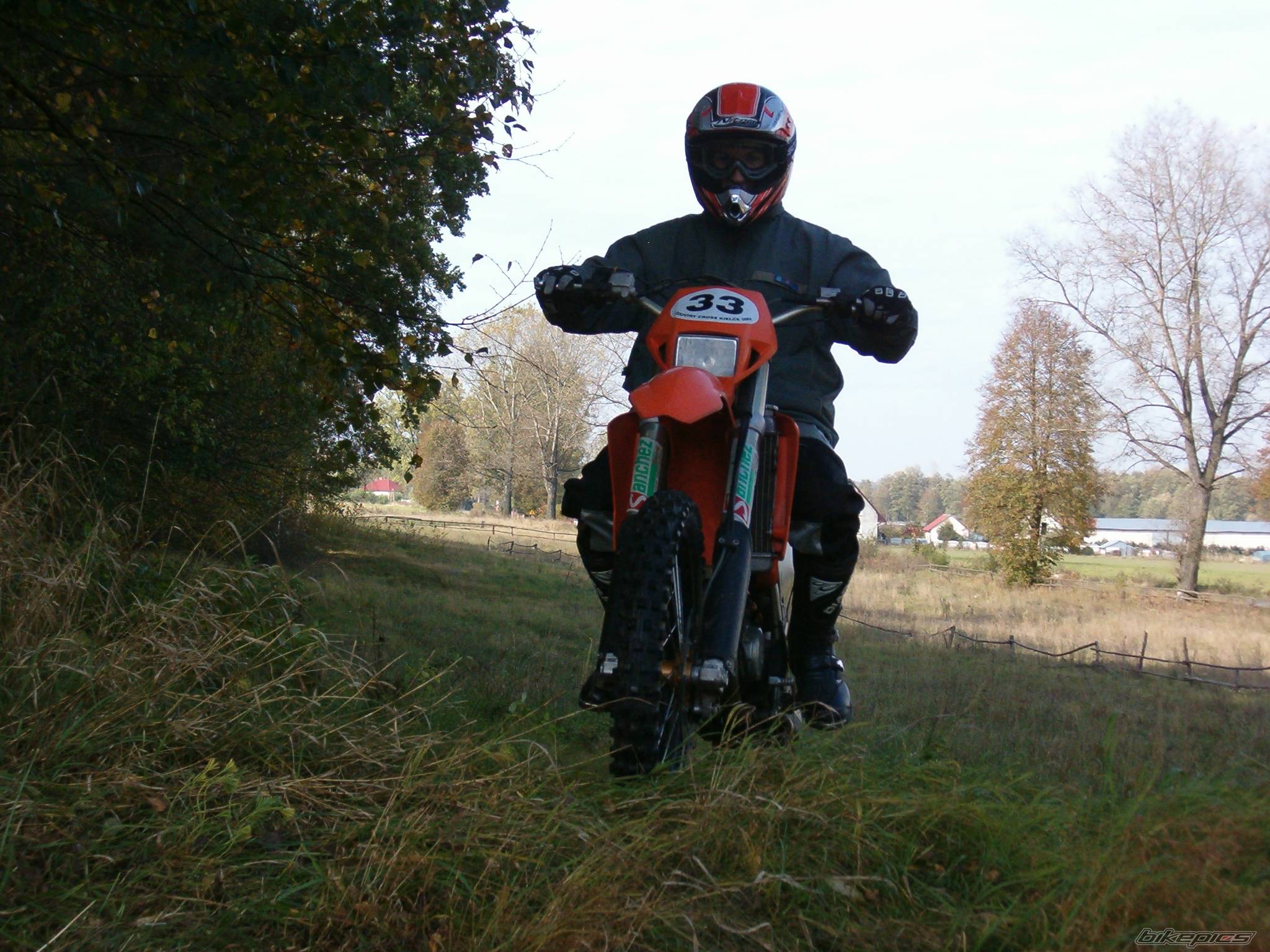 Photo 244641