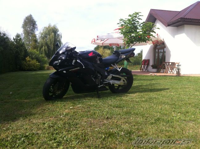Photo 2446410