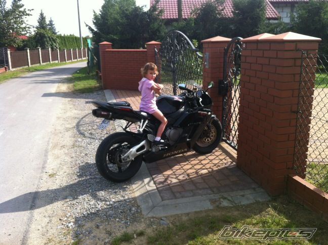 Photo 2446411