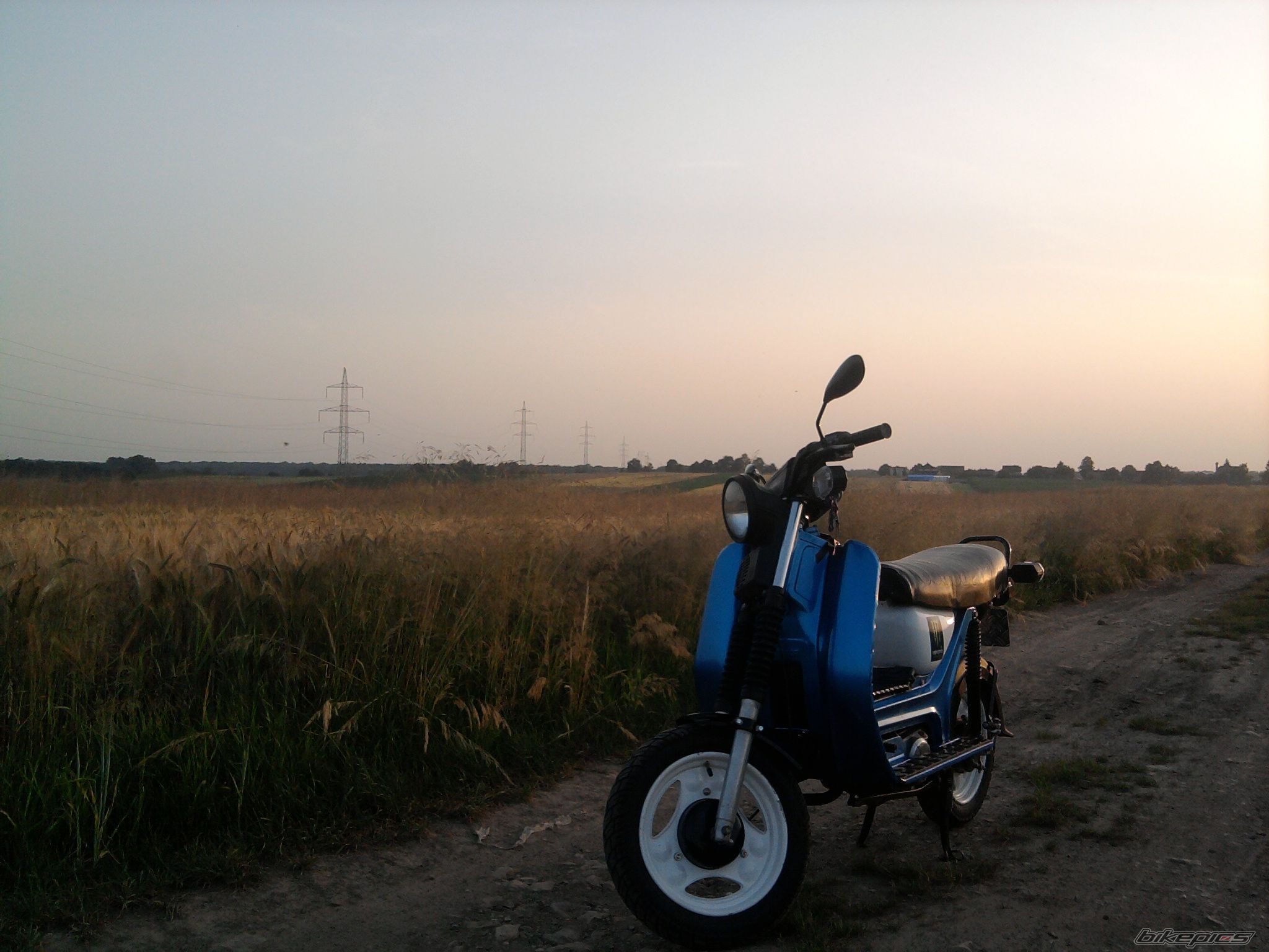 Photo 2446467