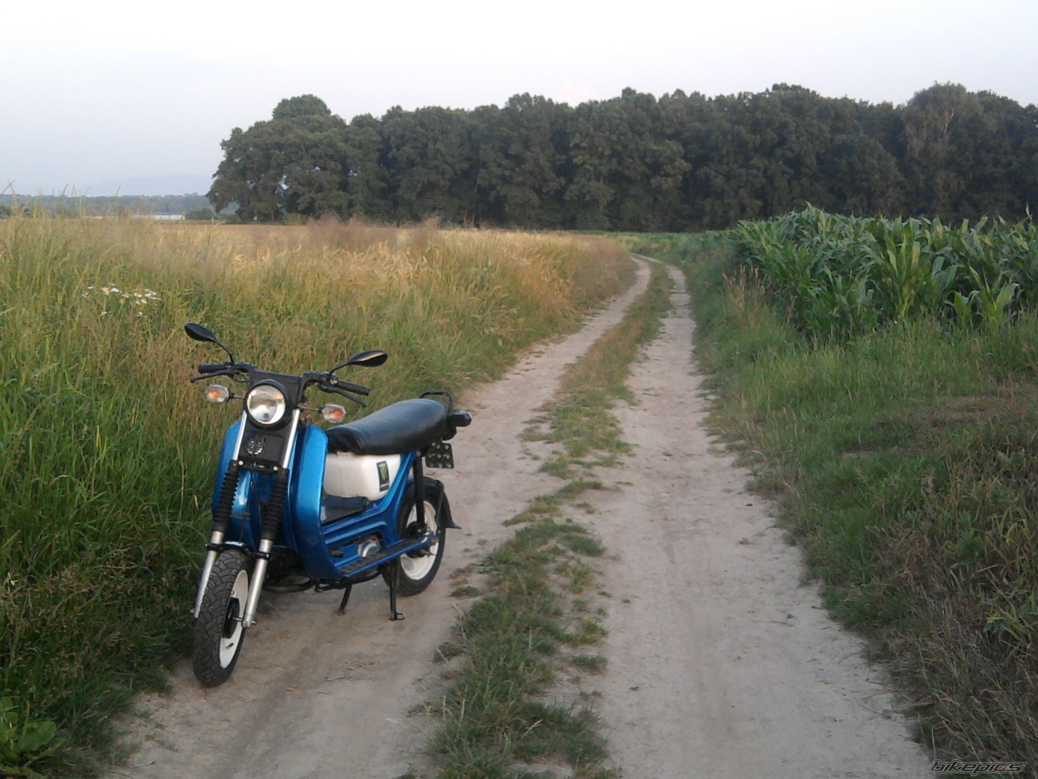 Photo 2446470