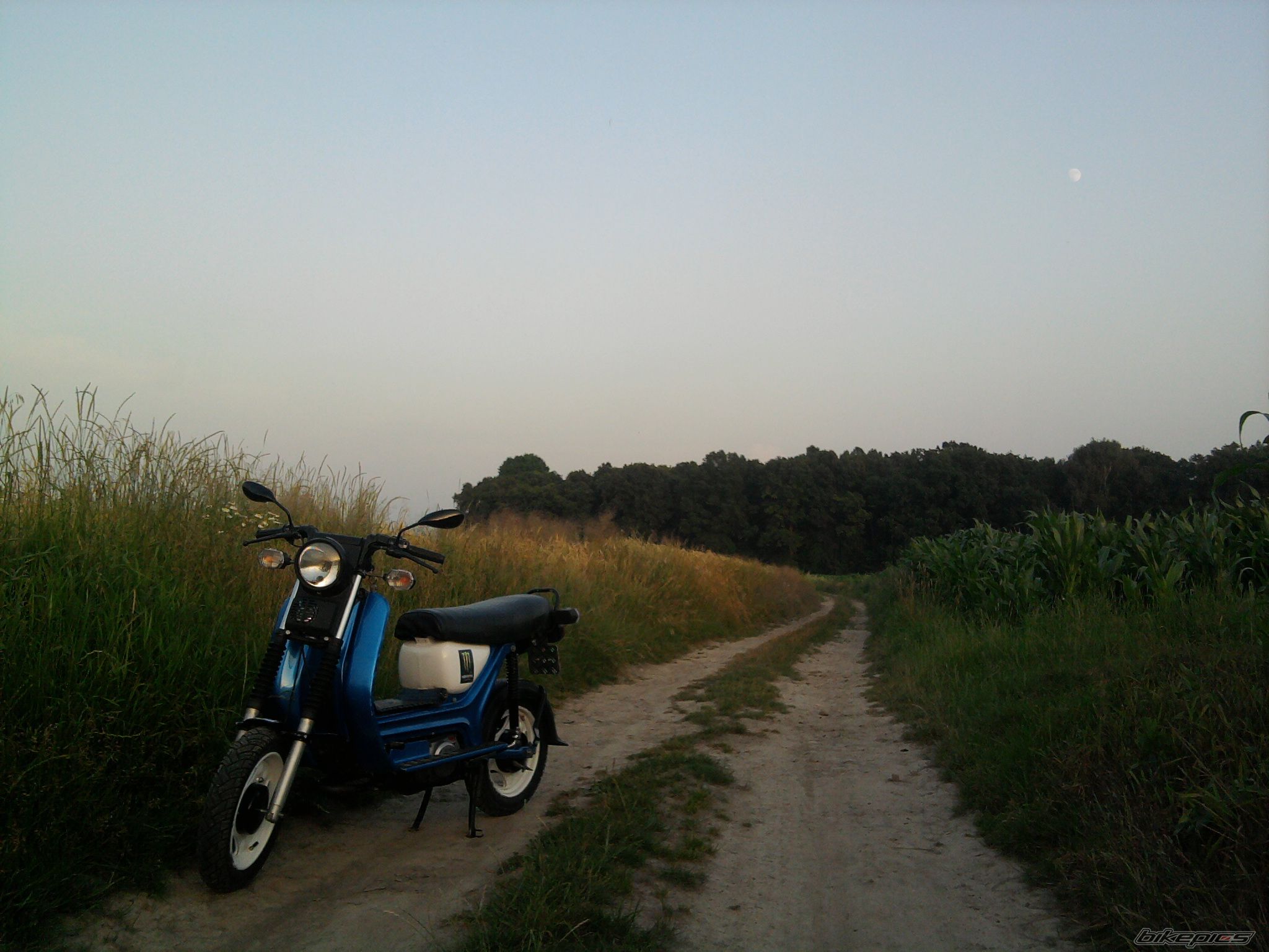 Photo 2446471