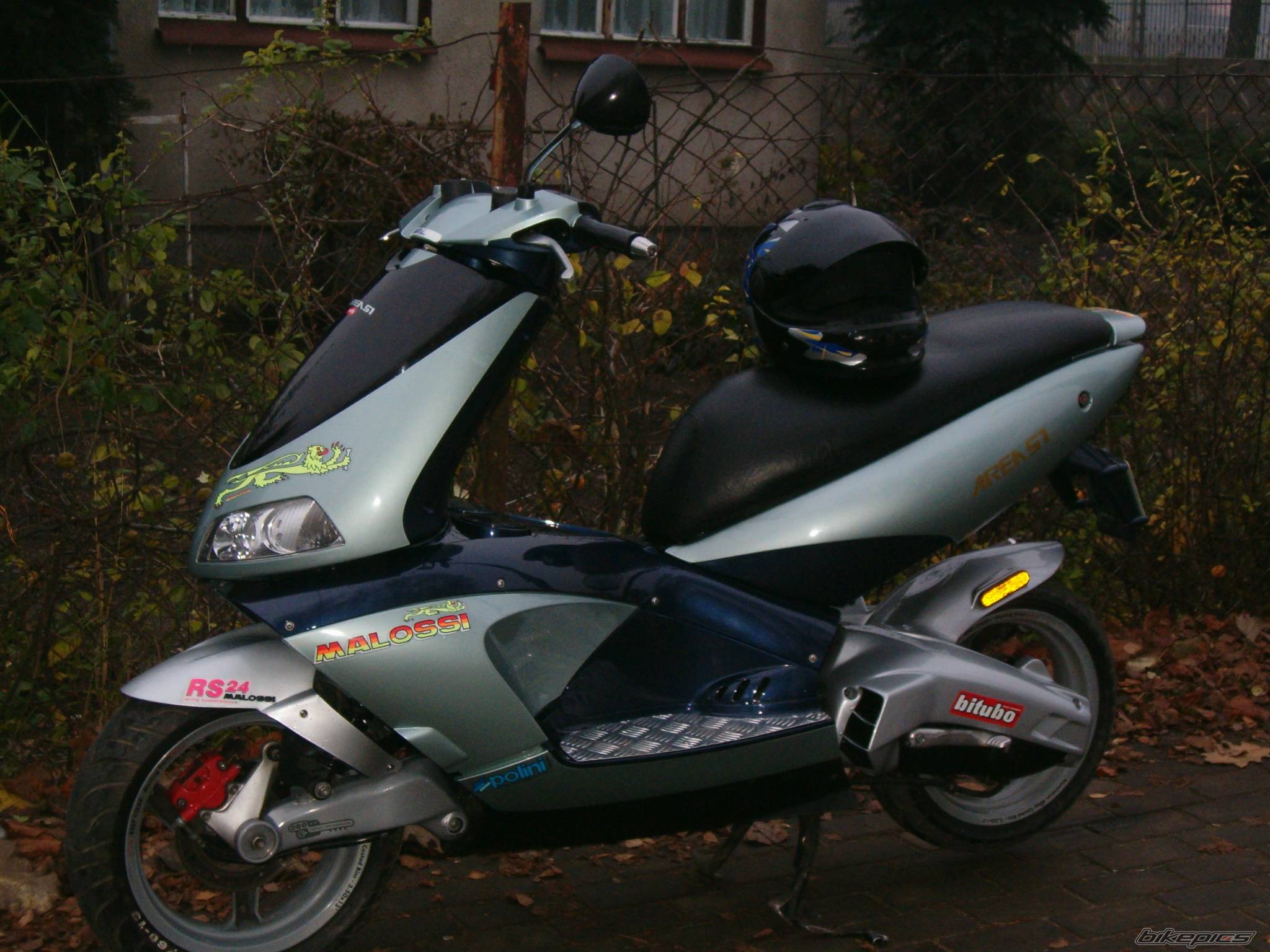Photo 244649