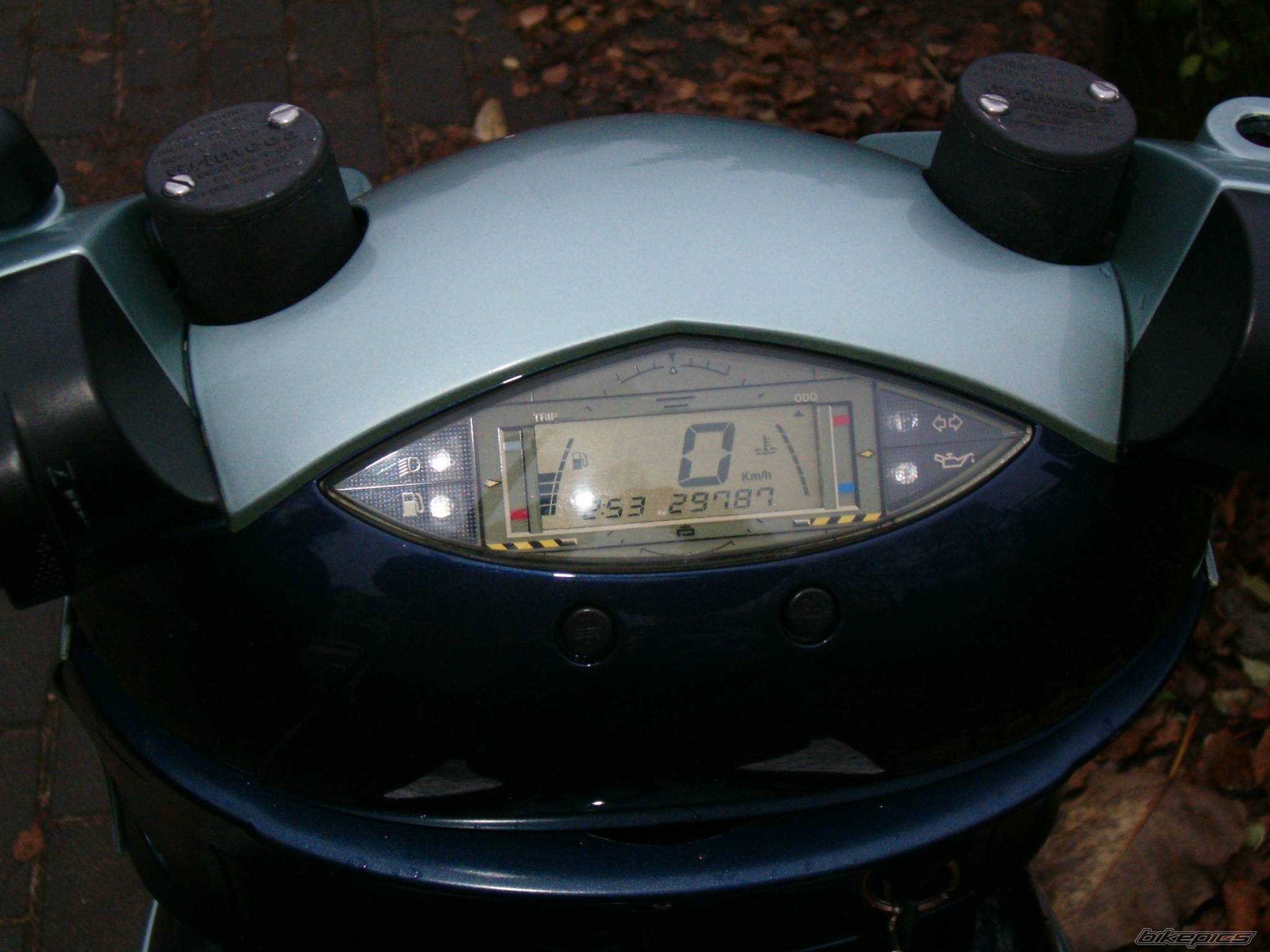 Photo 244652