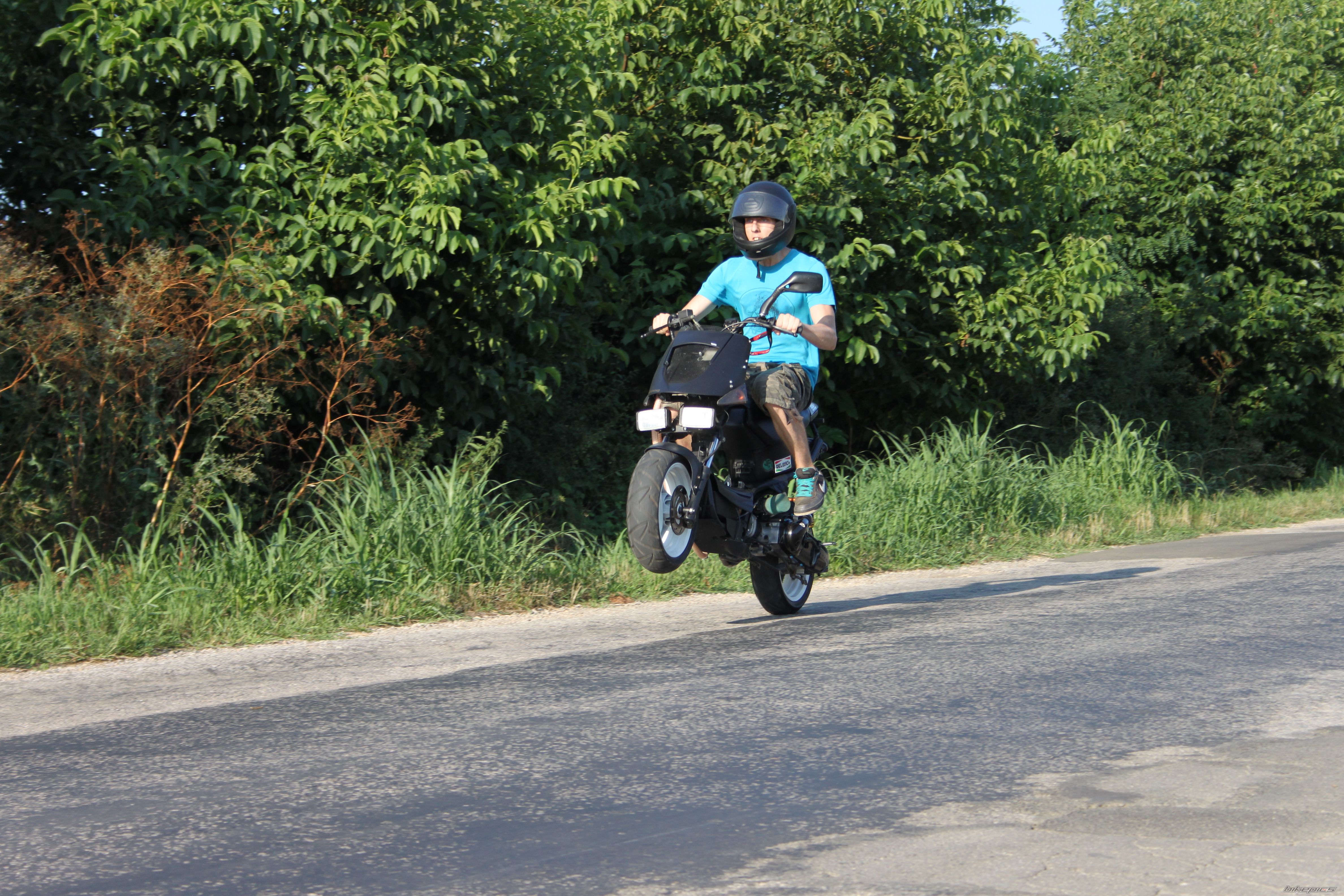Photo 2446523