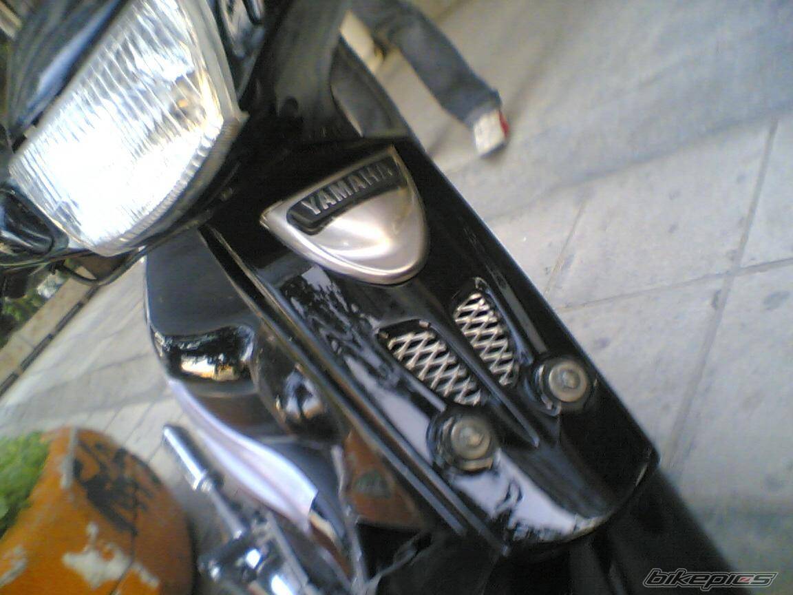 Photo 244660