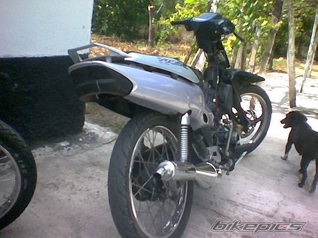 Photo 244667