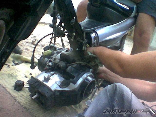 Bike Photo 244669
