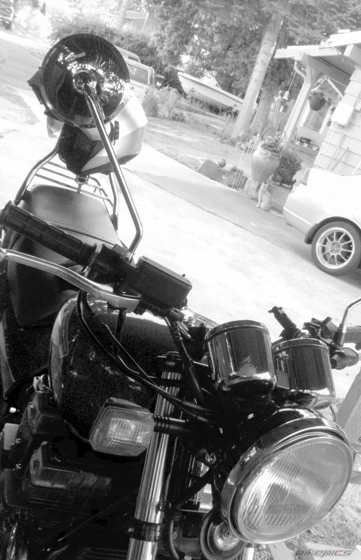 Photo 2446733