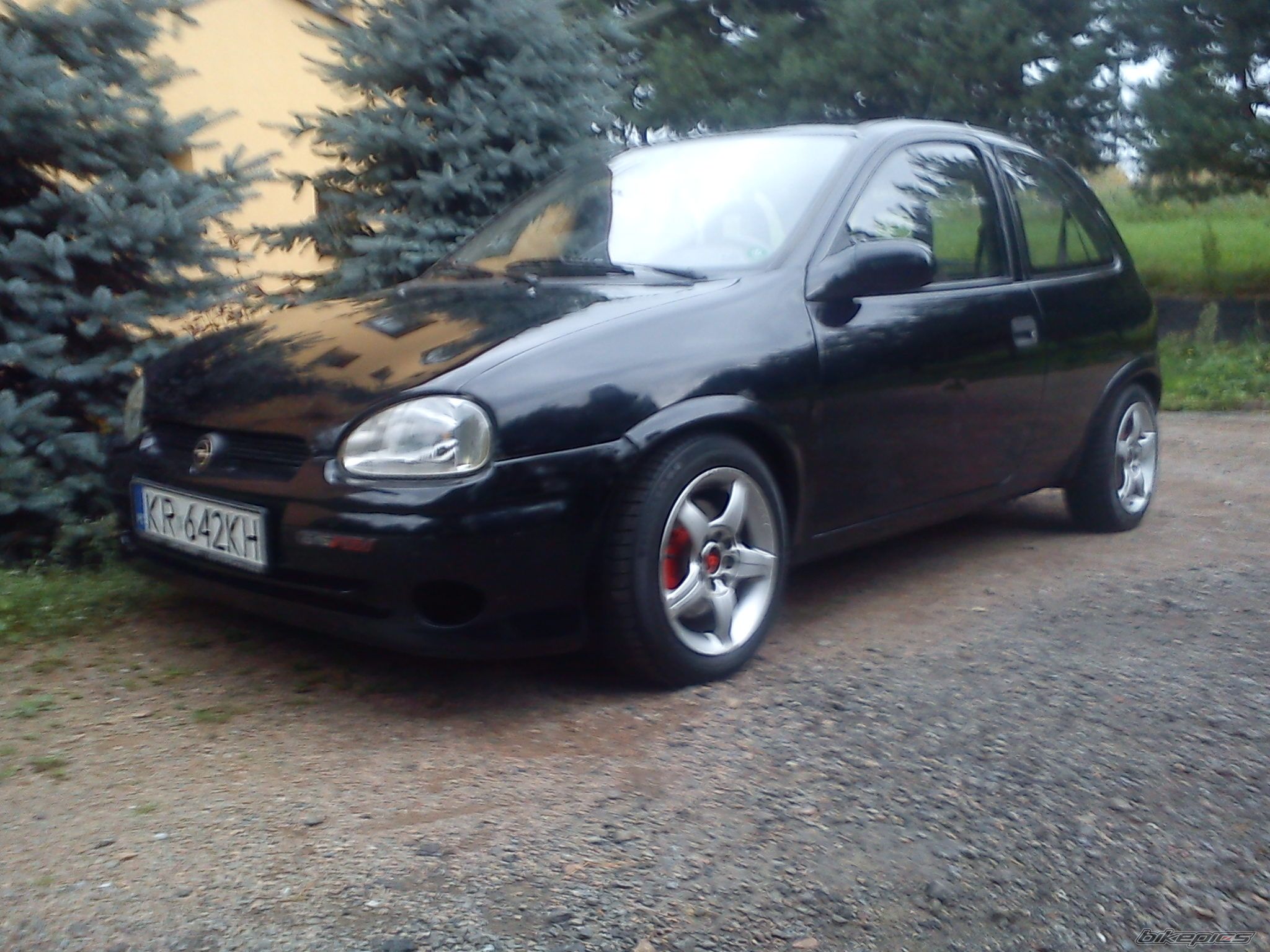 Photo 2446754