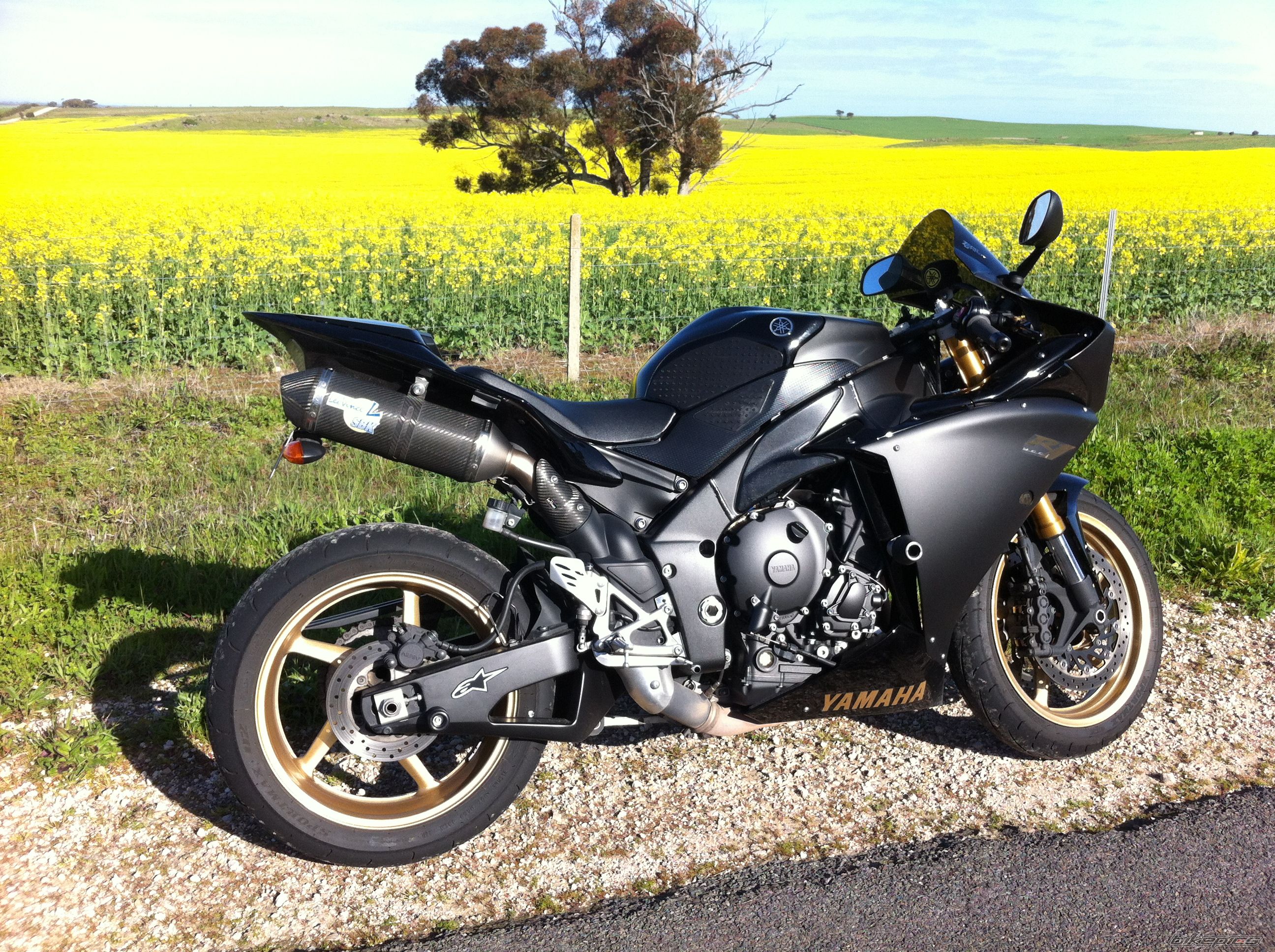 Photo 2446759