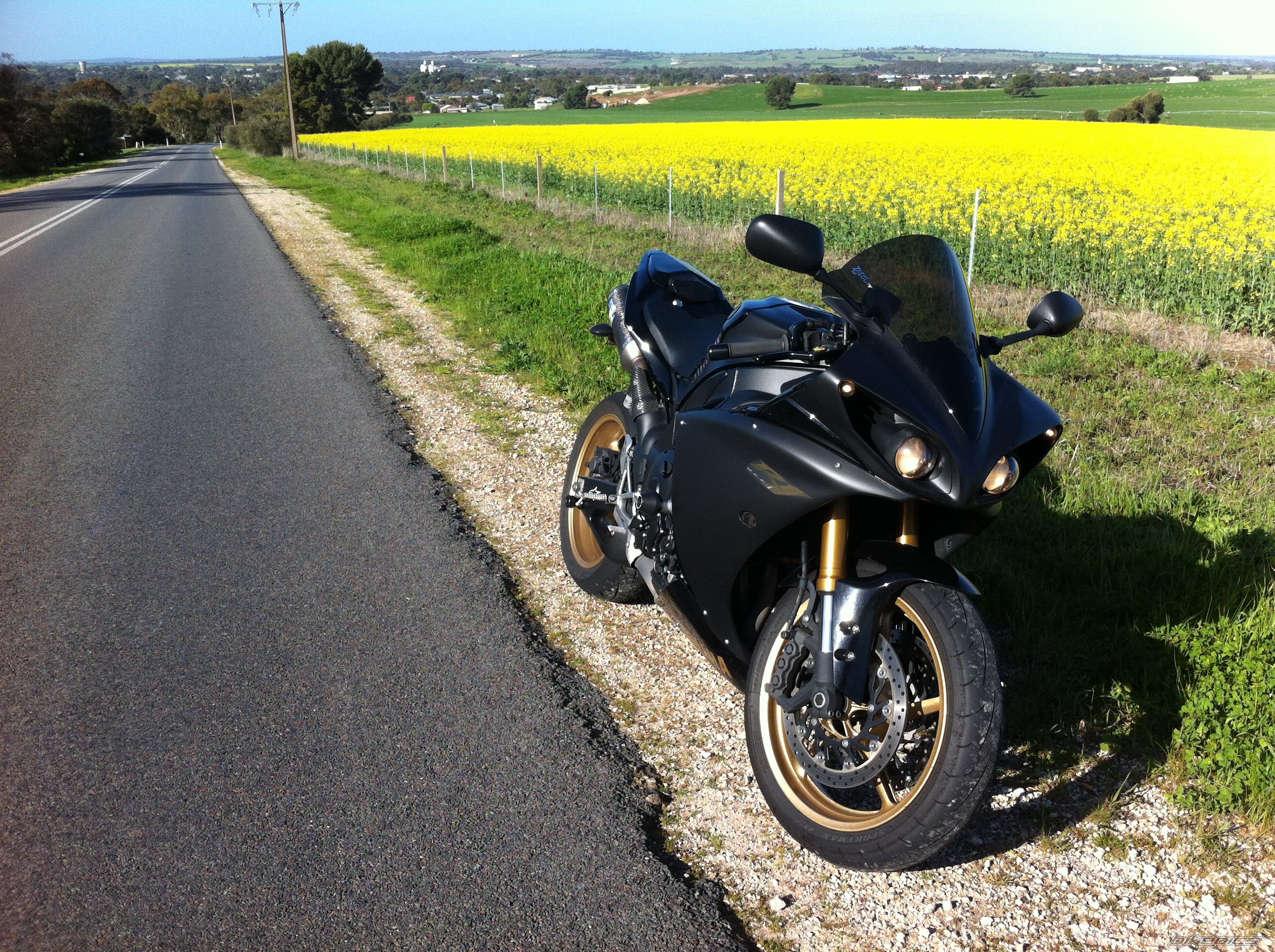 Photo 2446761