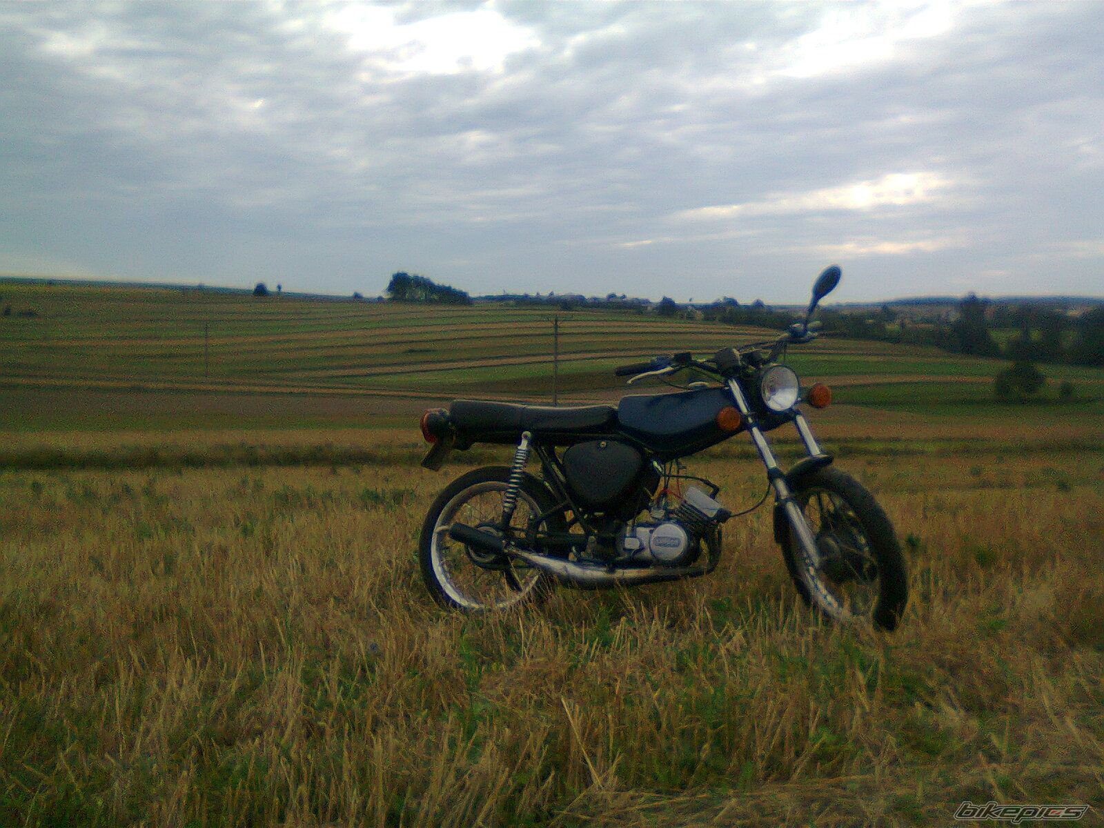 Photo 2446817