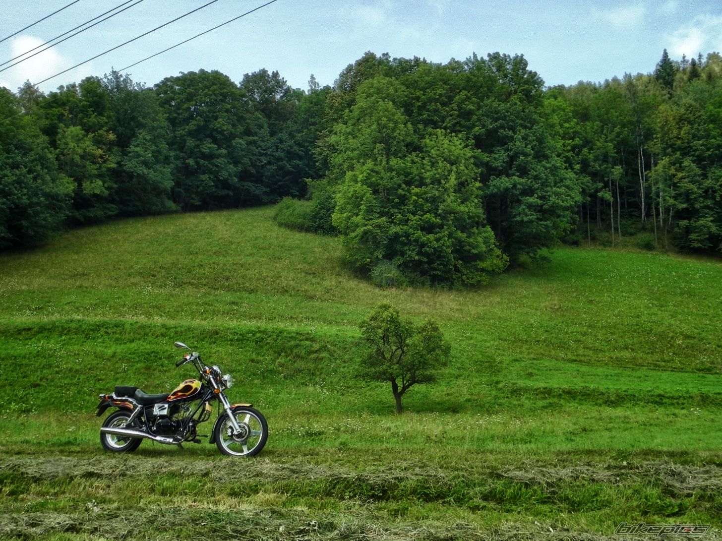 Photo 2446823