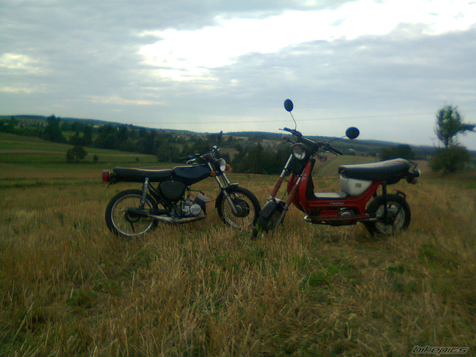 Photo 2446827