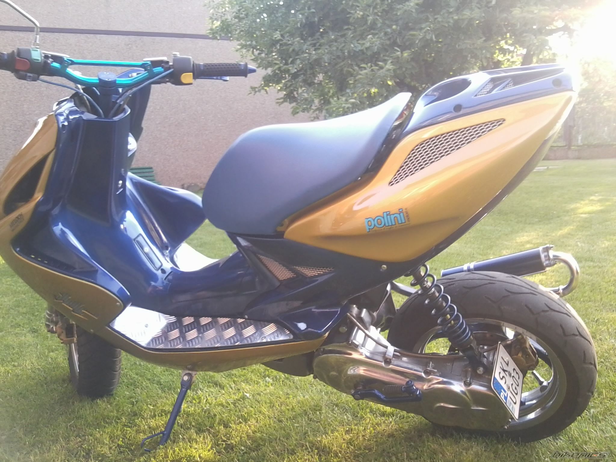 Photo 2446838