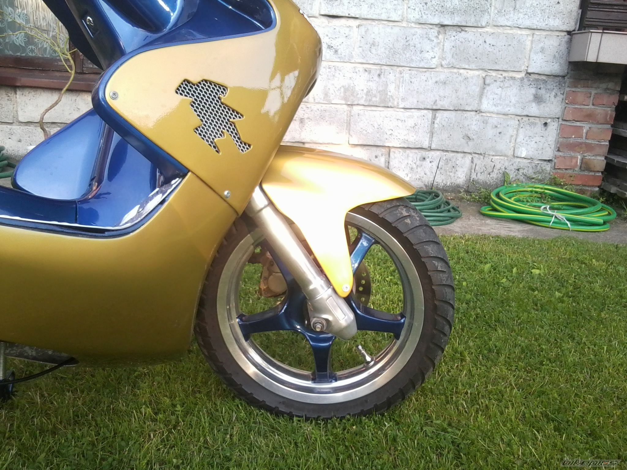 Photo 2446850