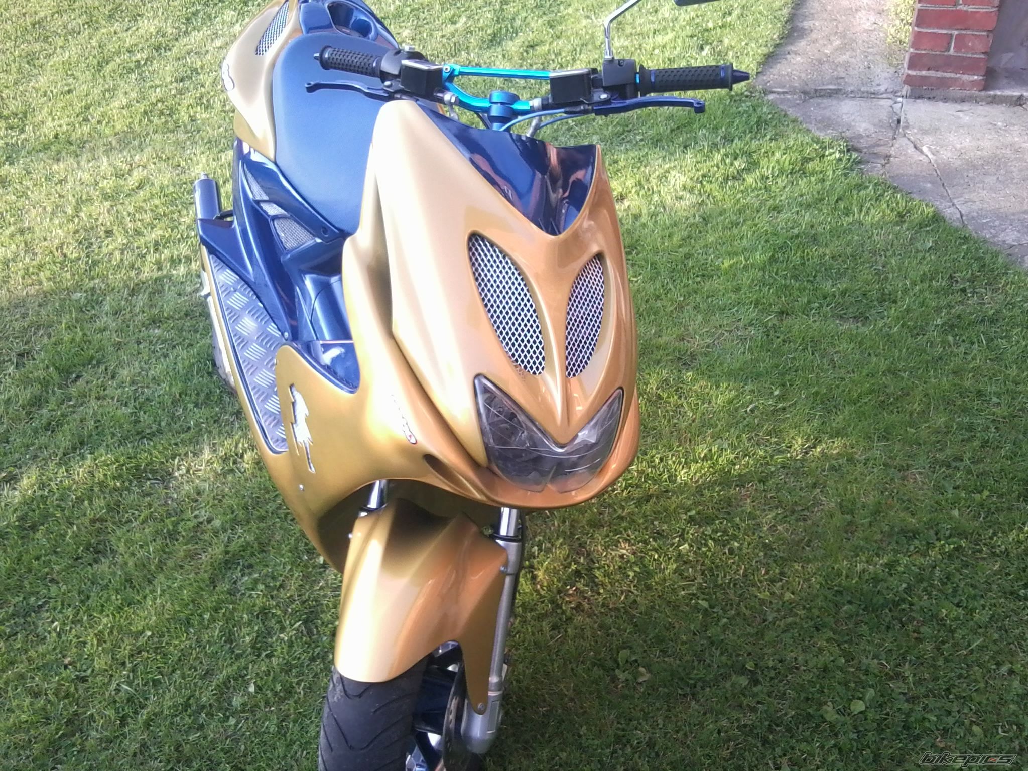 Photo 2446856