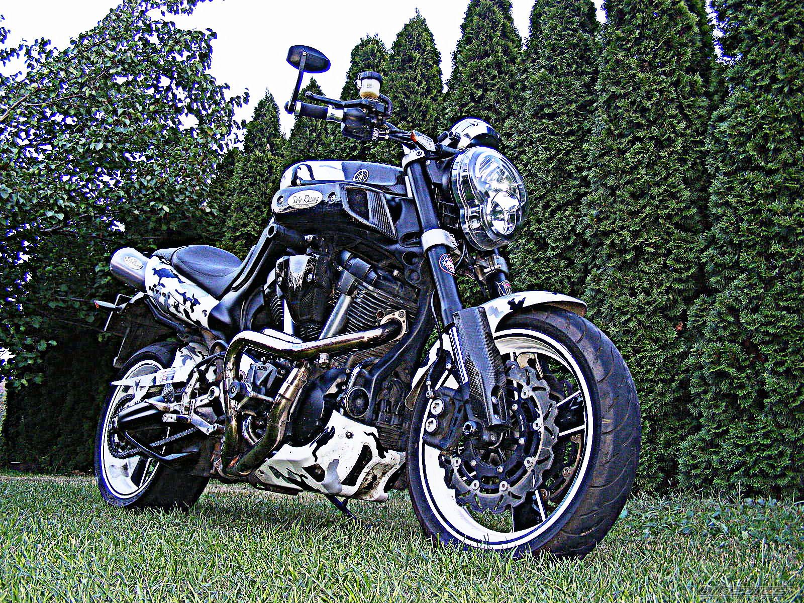 Photo 2446874