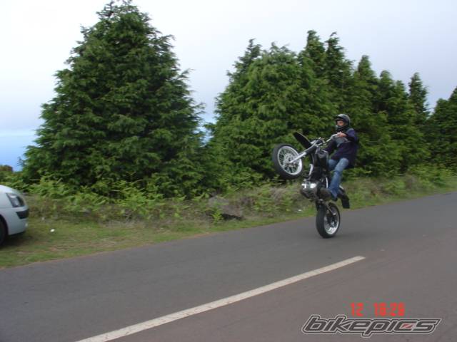 Photo 244689
