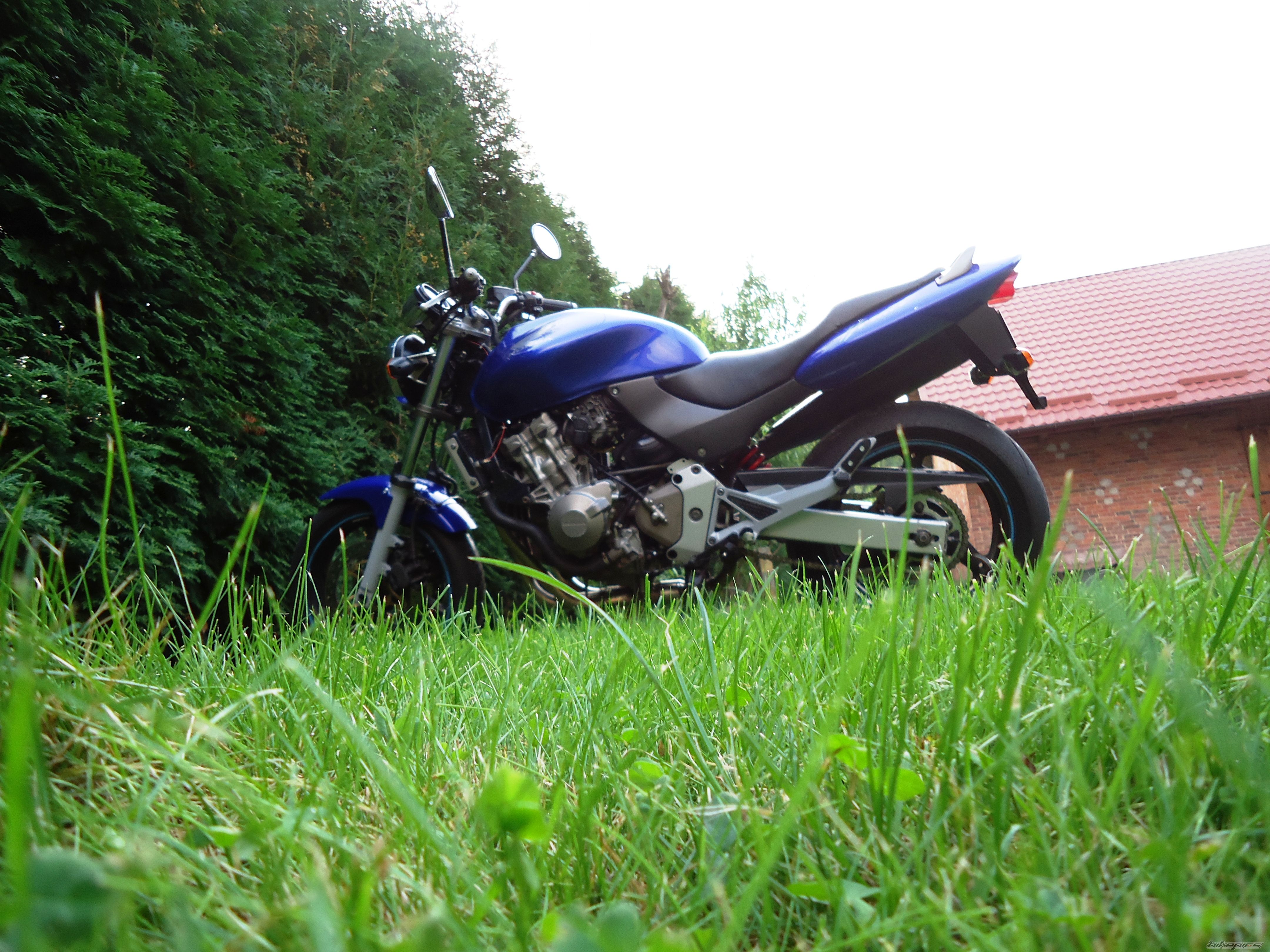 Photo 2446926
