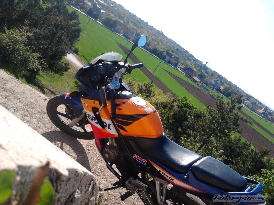 Photo 2447041
