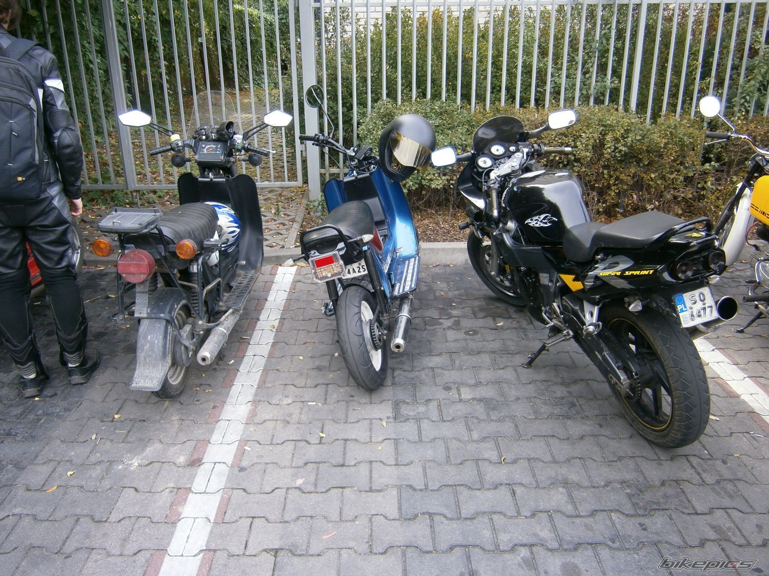 Photo 2447044