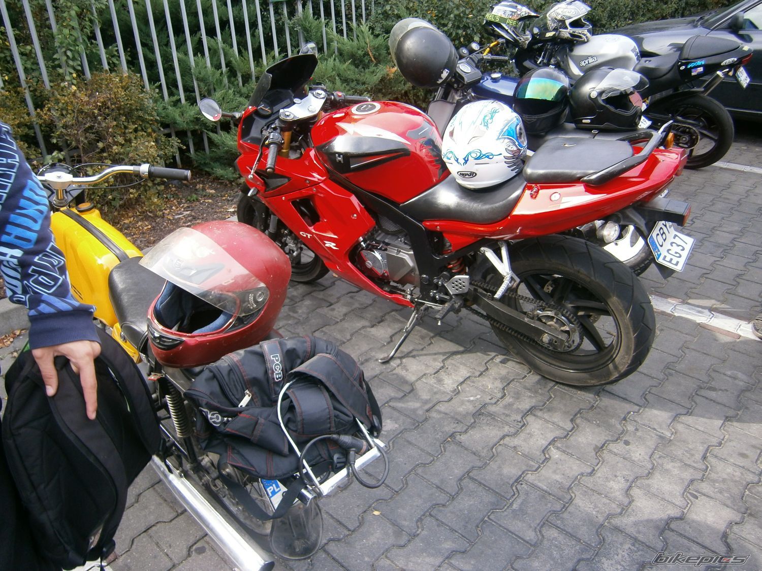 Photo 2447069