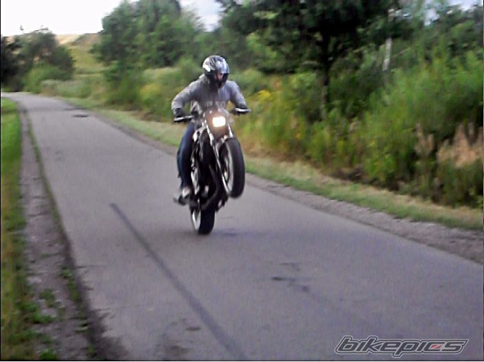 Photo 2447075