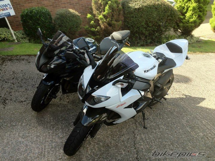 Photo 2447087