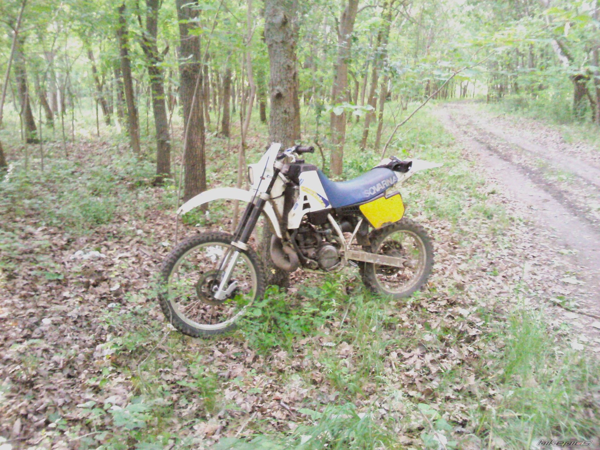Photo 2447157