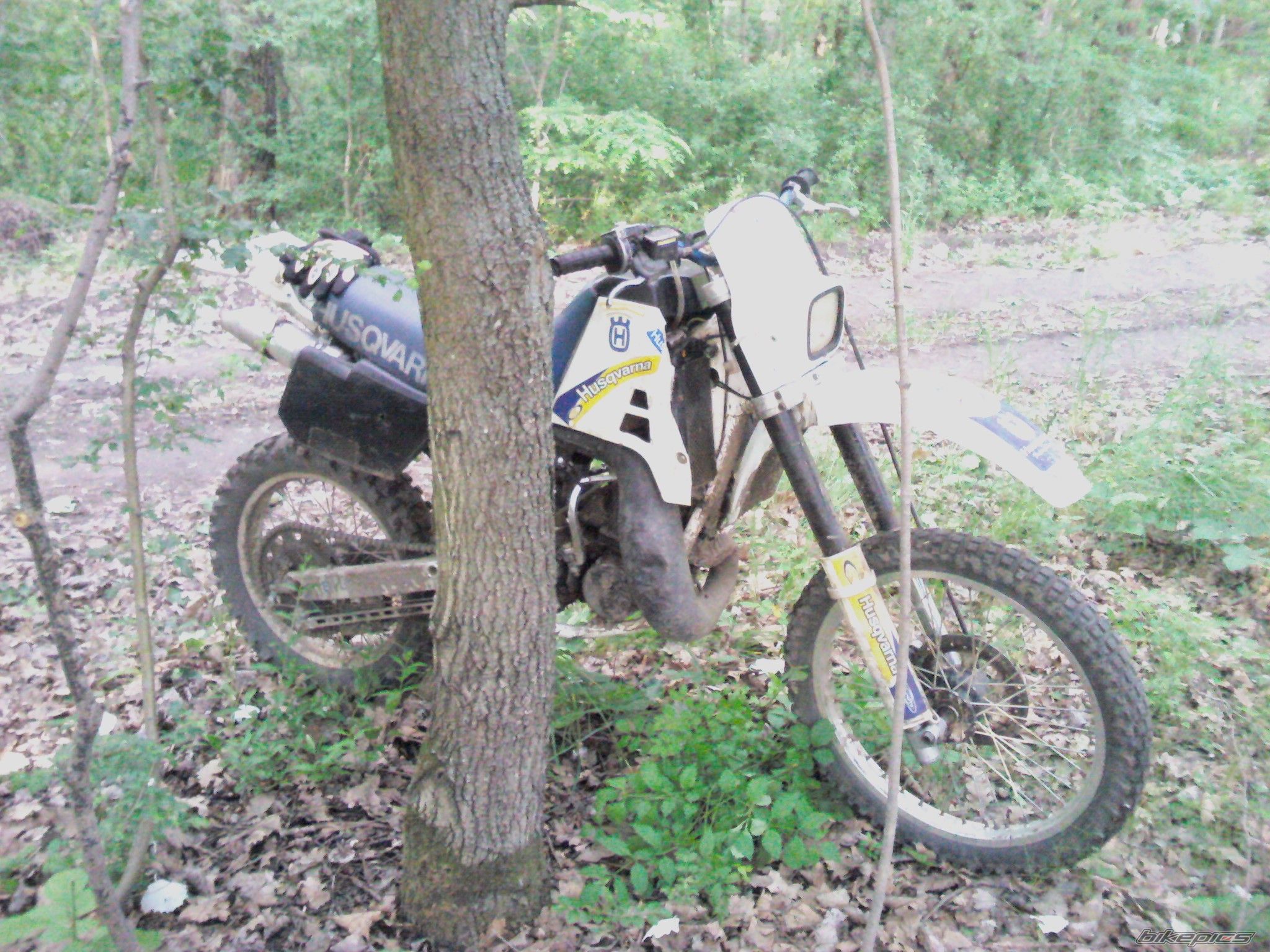 Photo 2447159