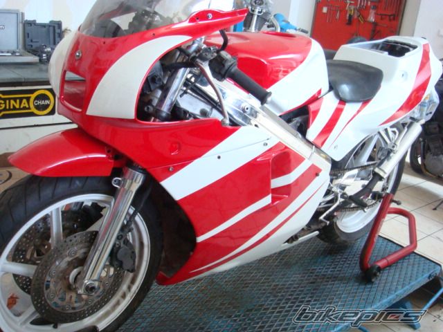 Photo 2447179