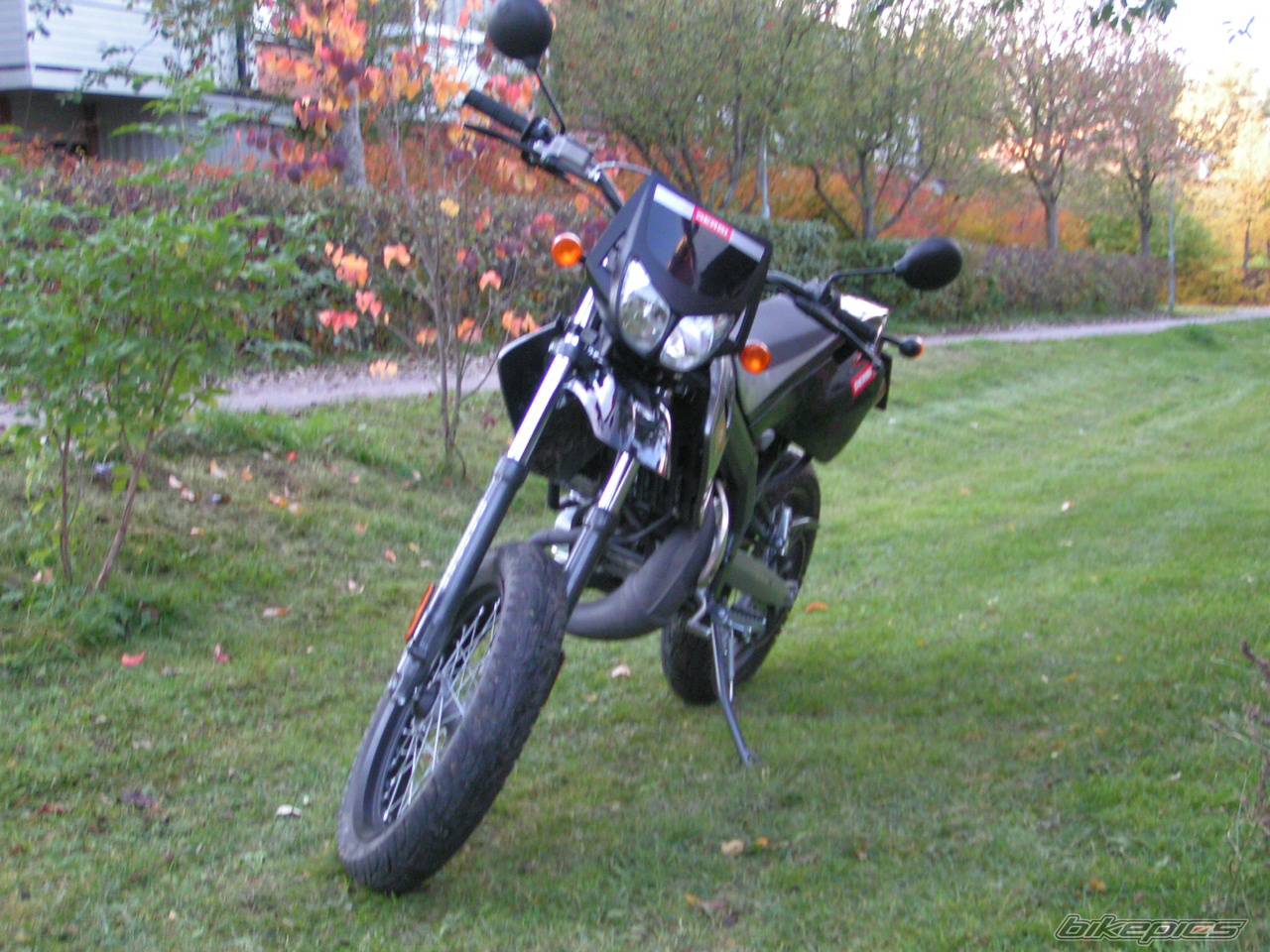 Photo 244720