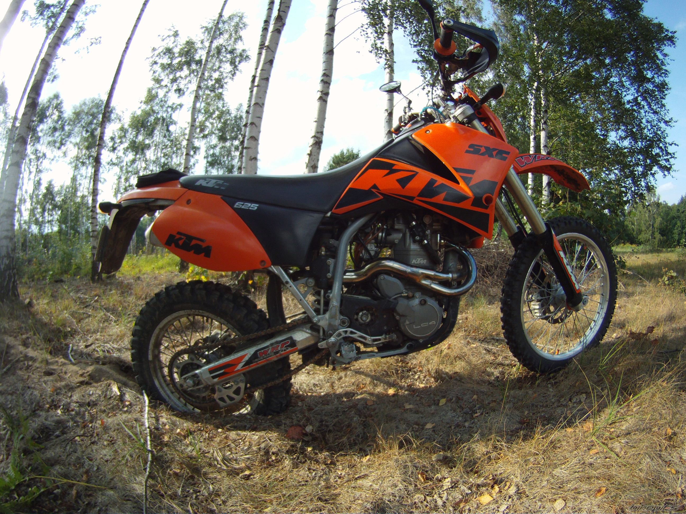 Photo 2447225