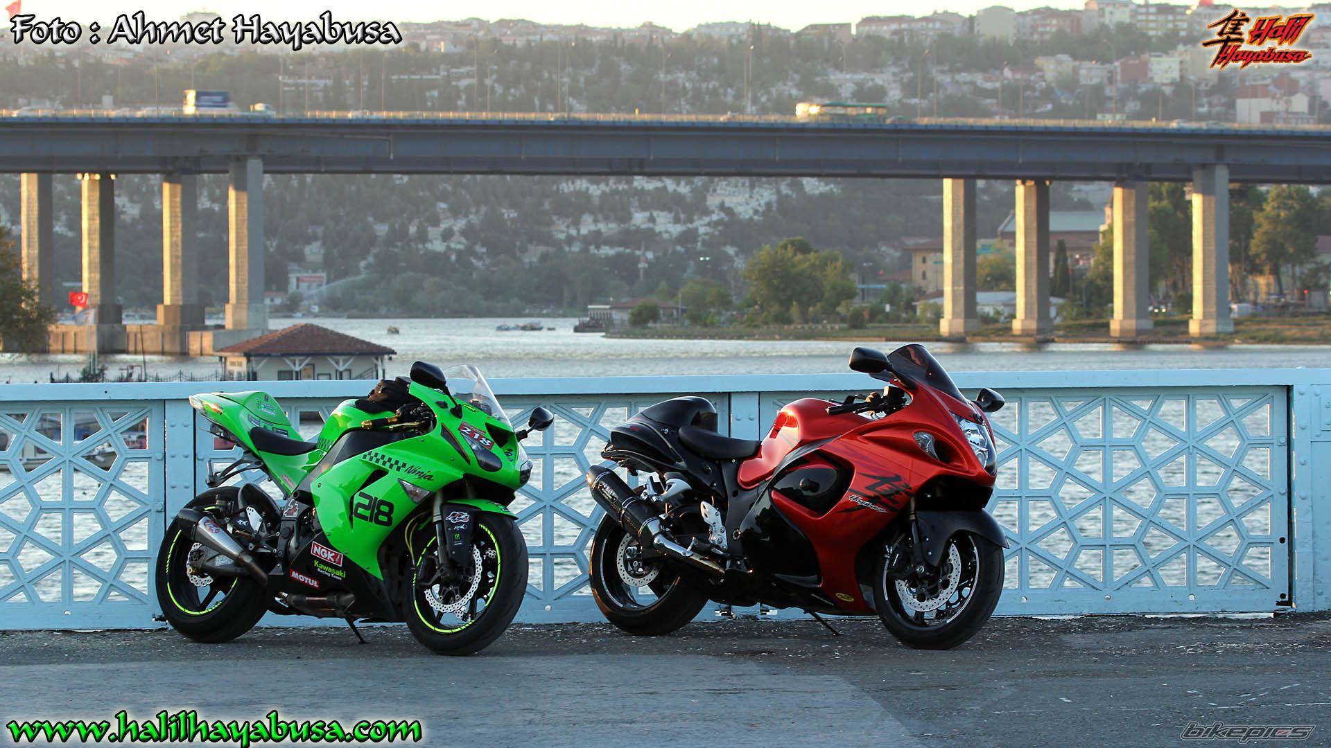 Photo 2447238