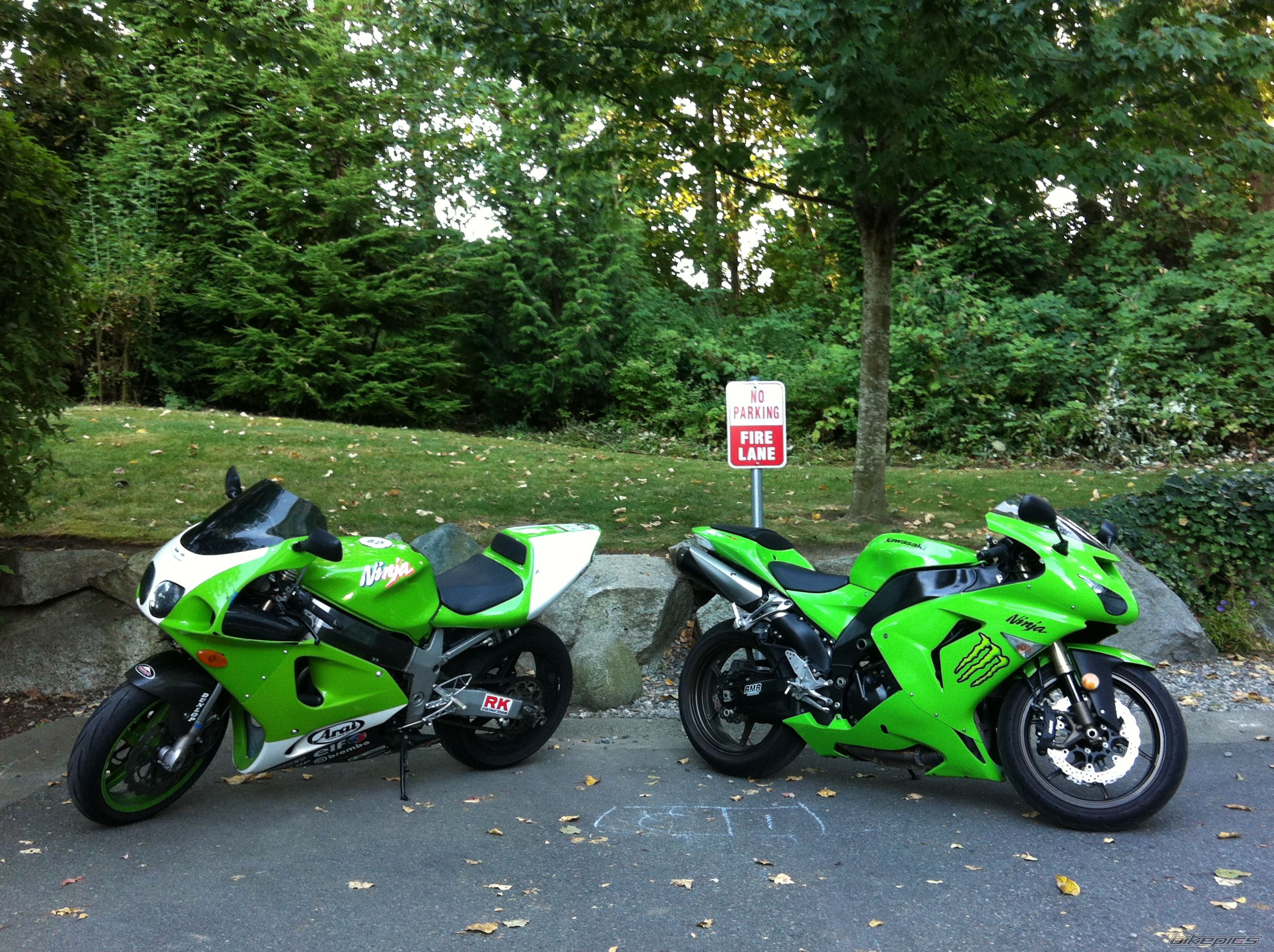 Photo 2447279