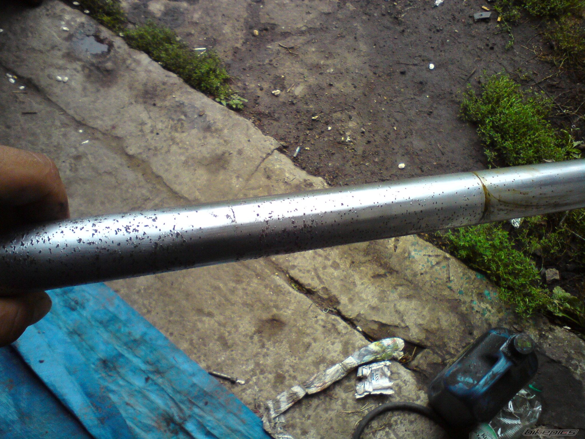 Photo 2447293