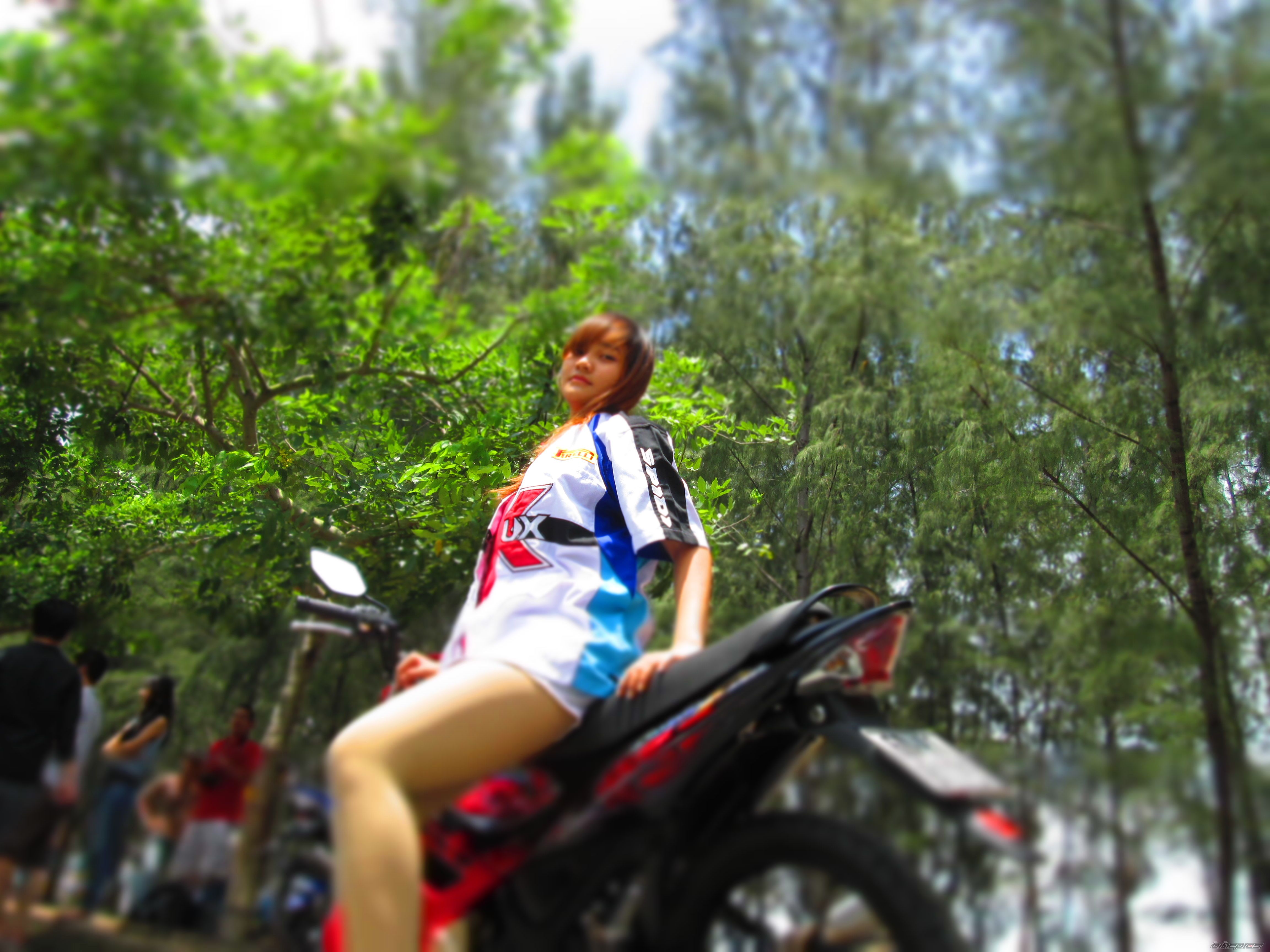 Photo 2447300