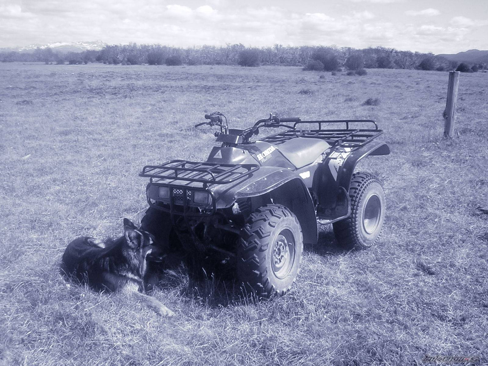 Photo 244748