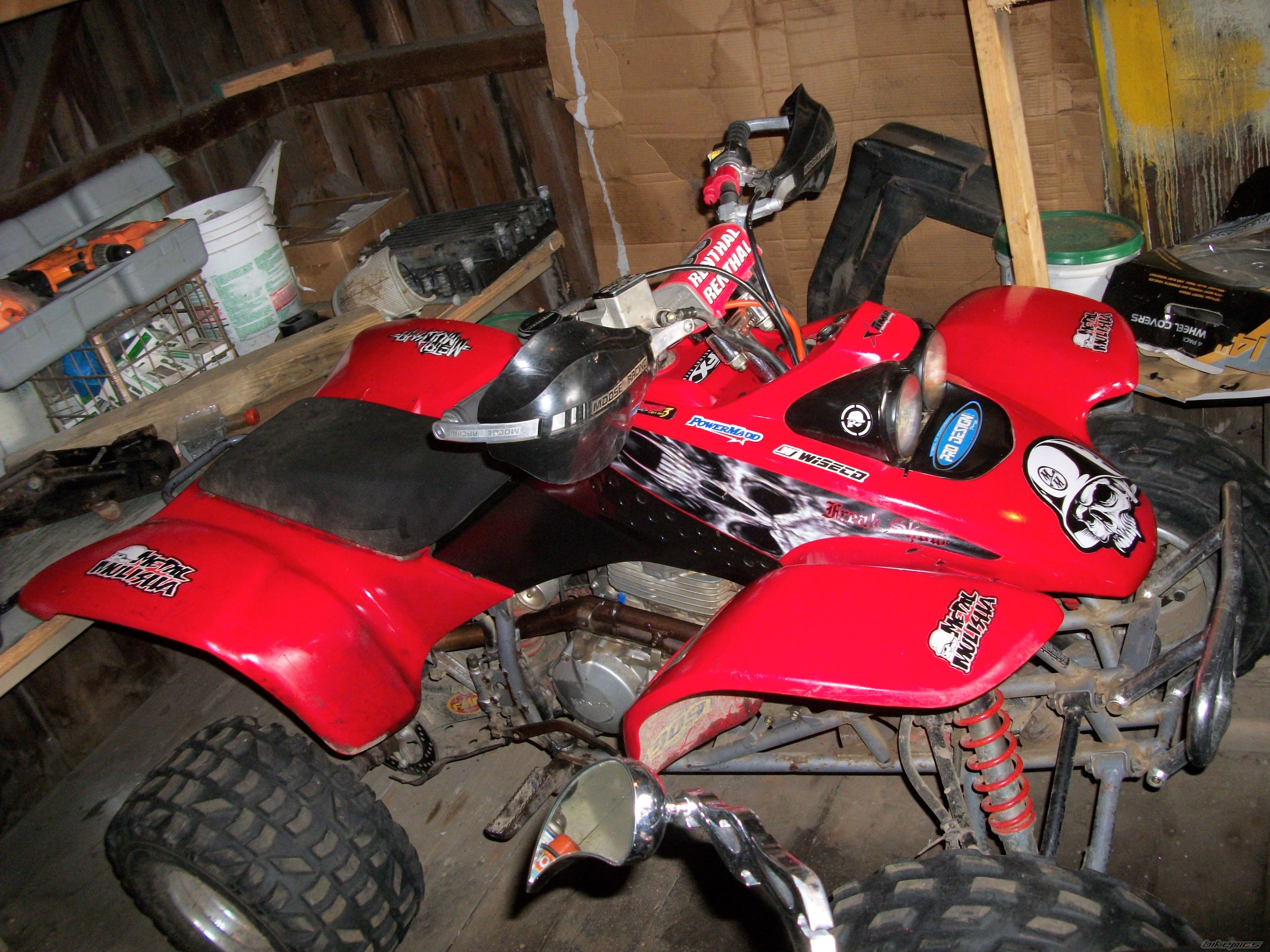 Photo 2447518