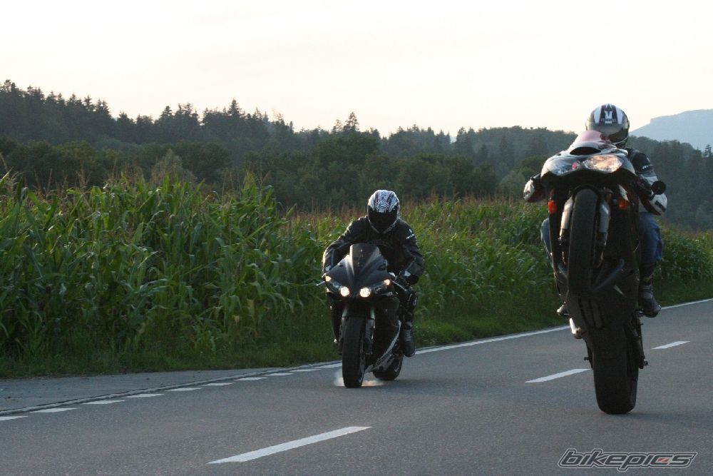 Photo 2447597