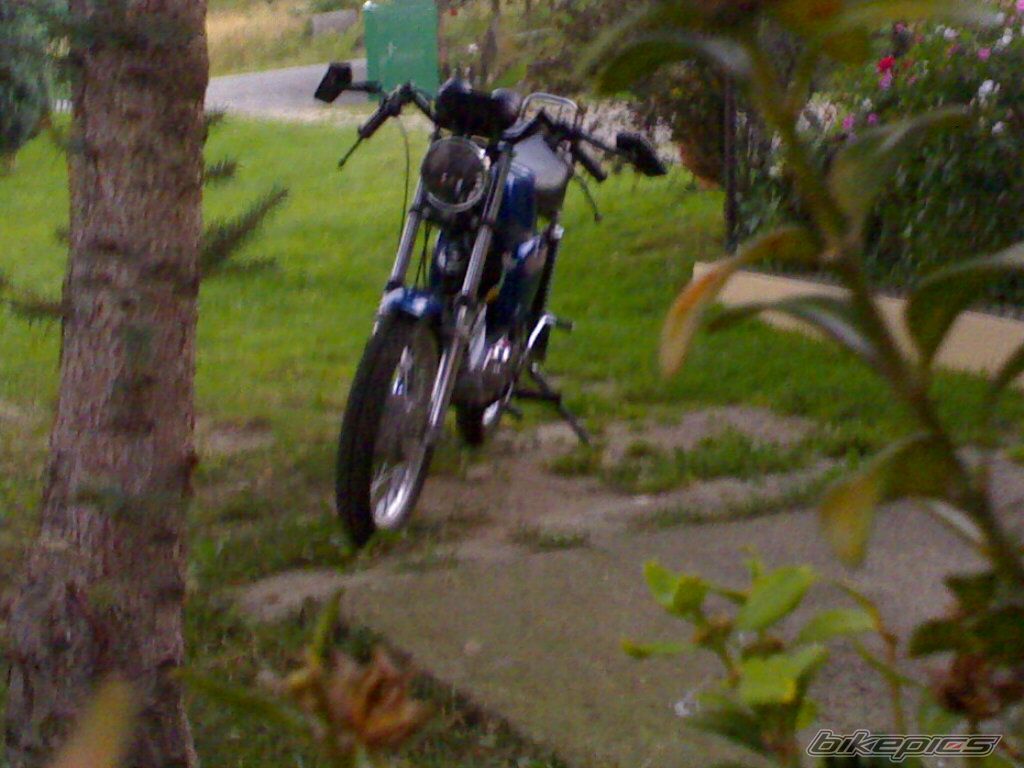 Photo 2447639