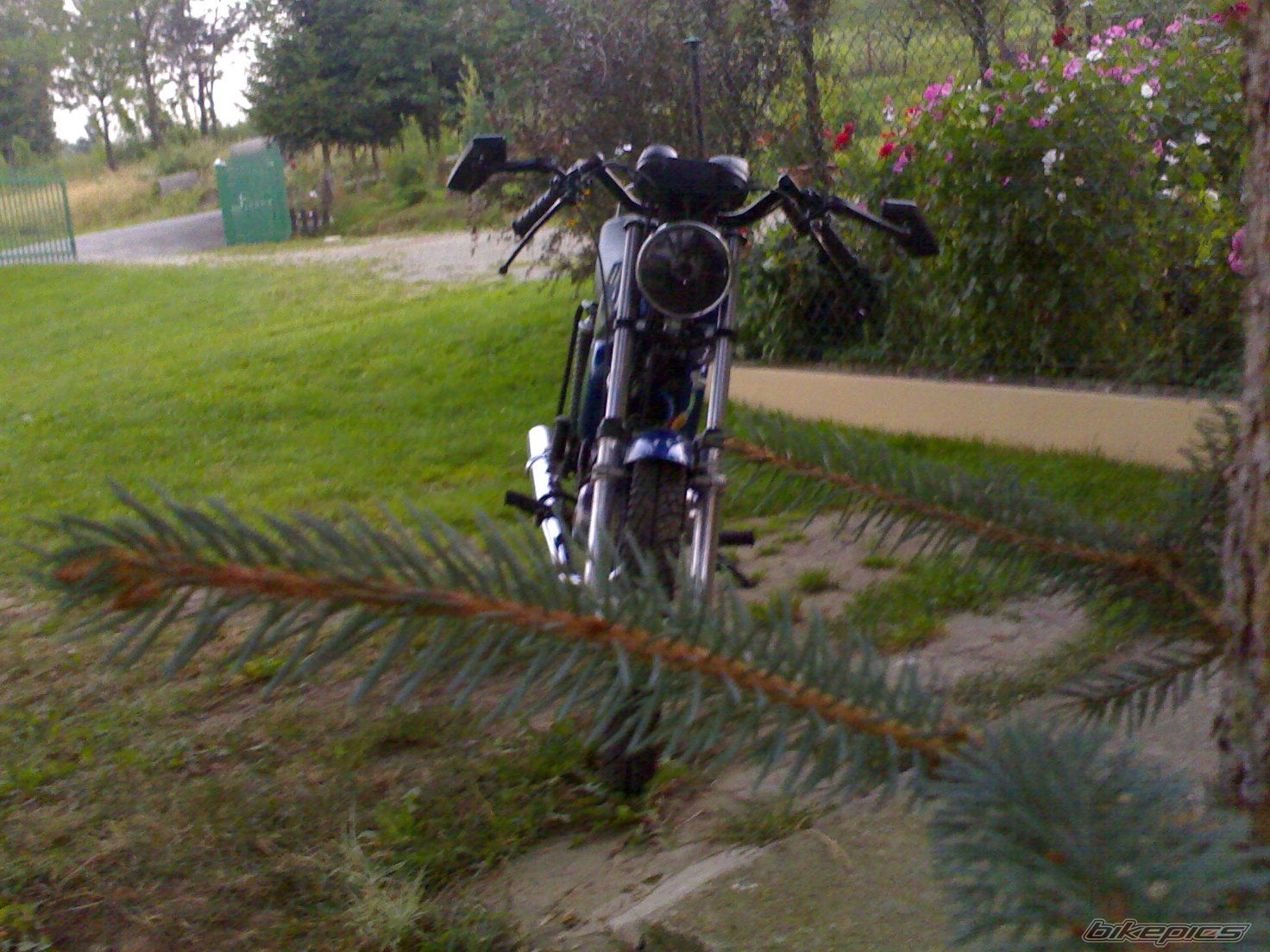 Photo 2447640