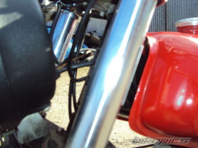 Photo 2447803