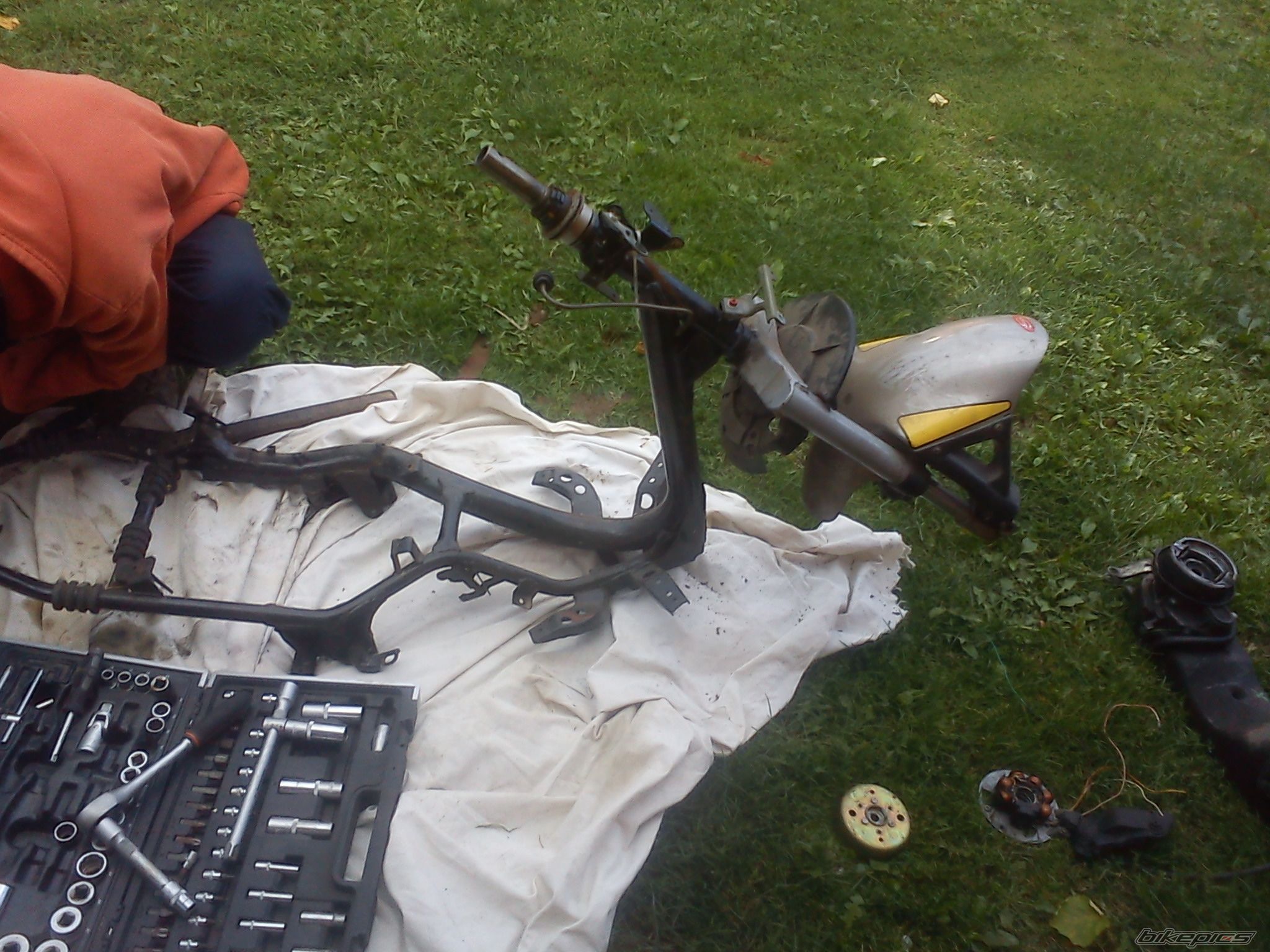 Photo 2447851