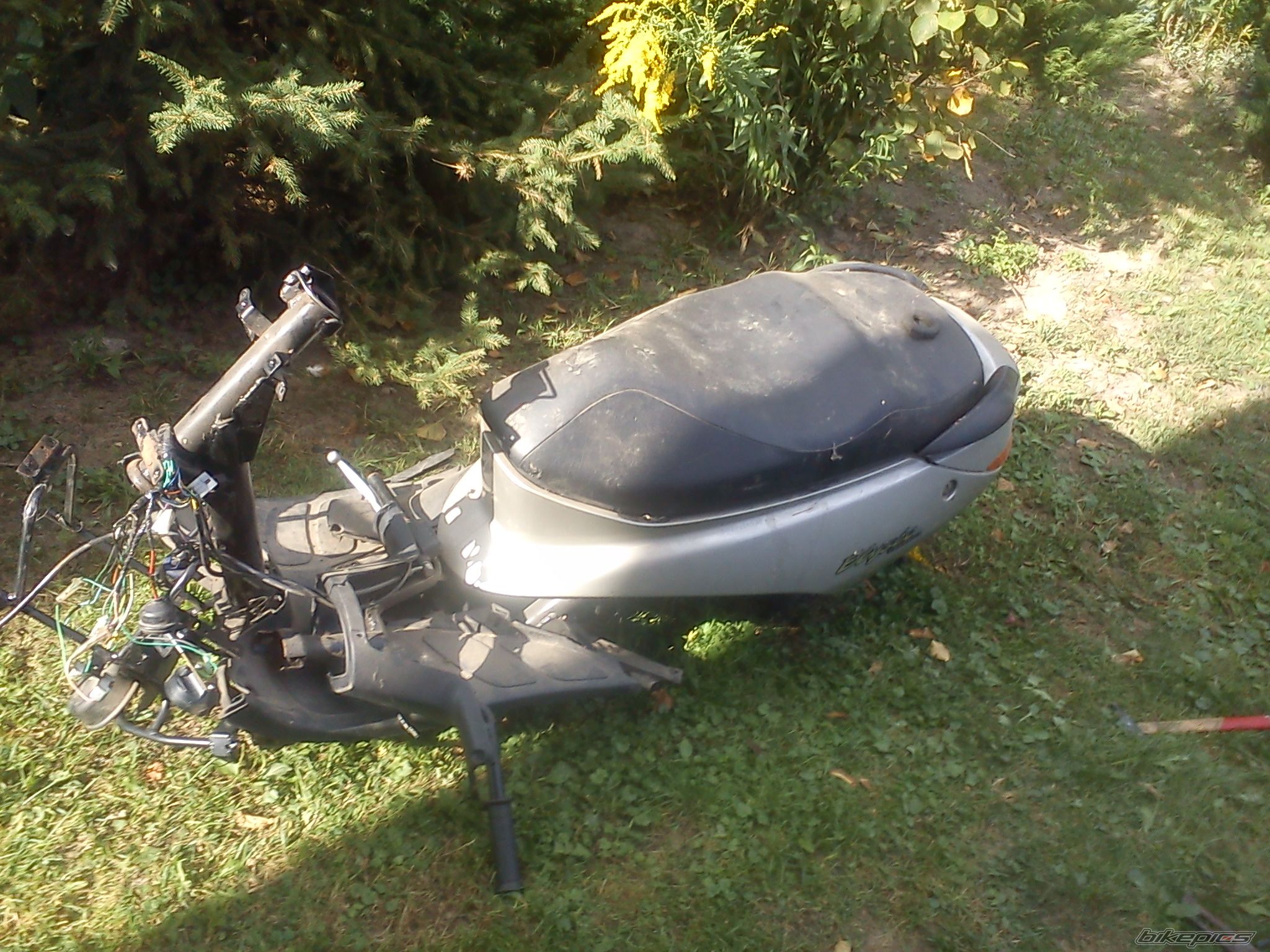 Photo 2447852