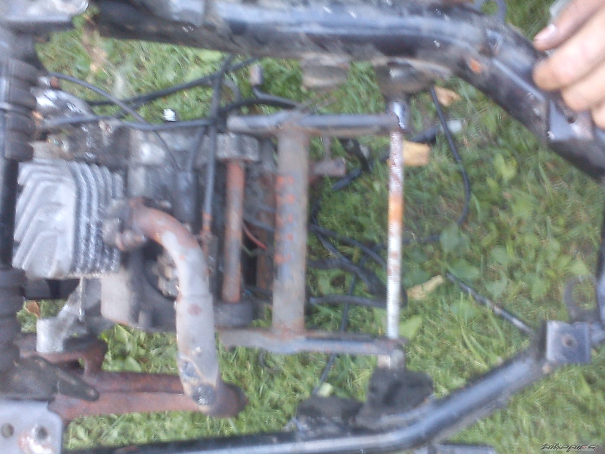 Photo 2447853