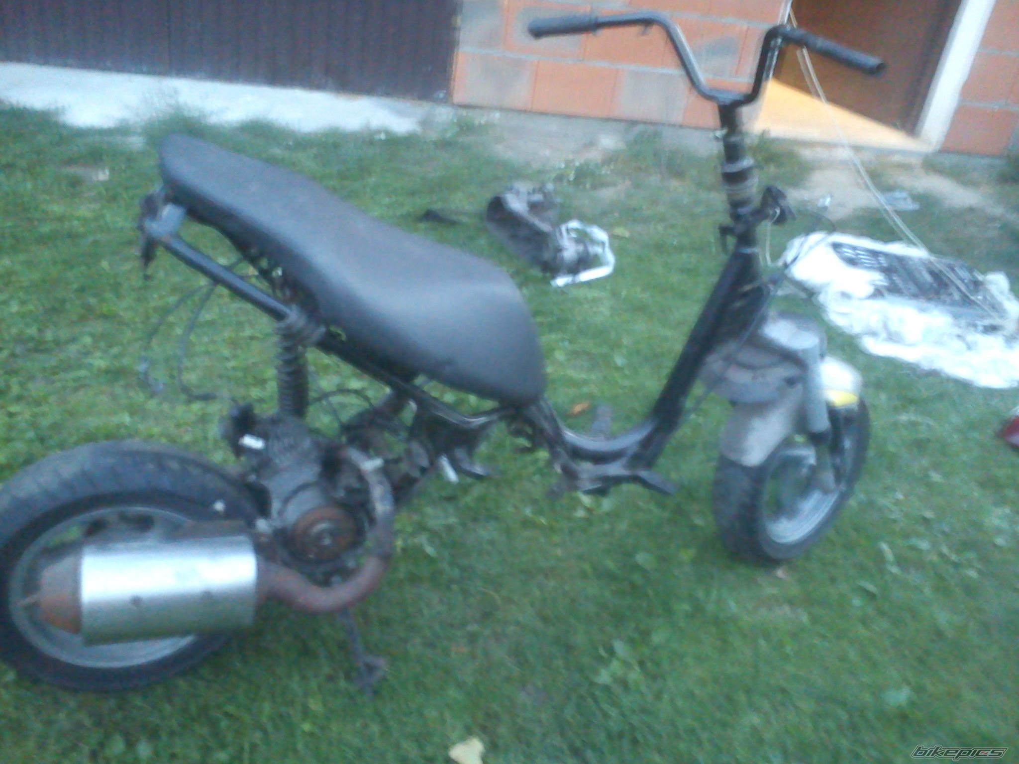 Photo 2447855