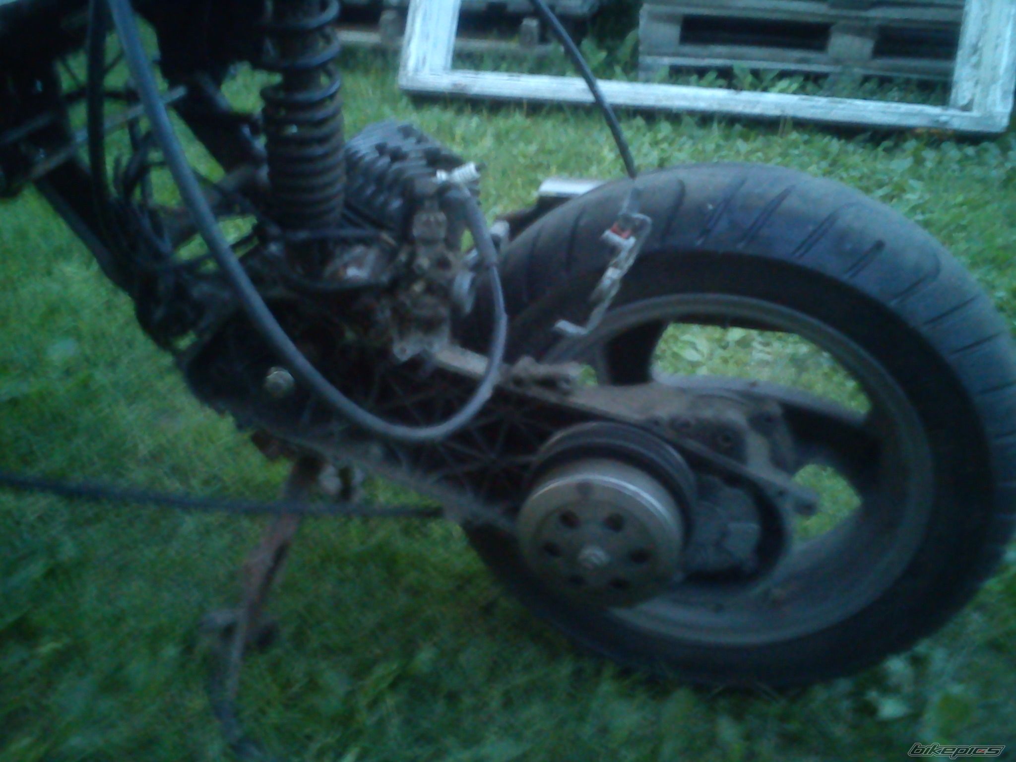 Photo 2447856